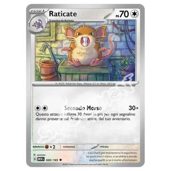 Raticate 020/165 151  (IT)