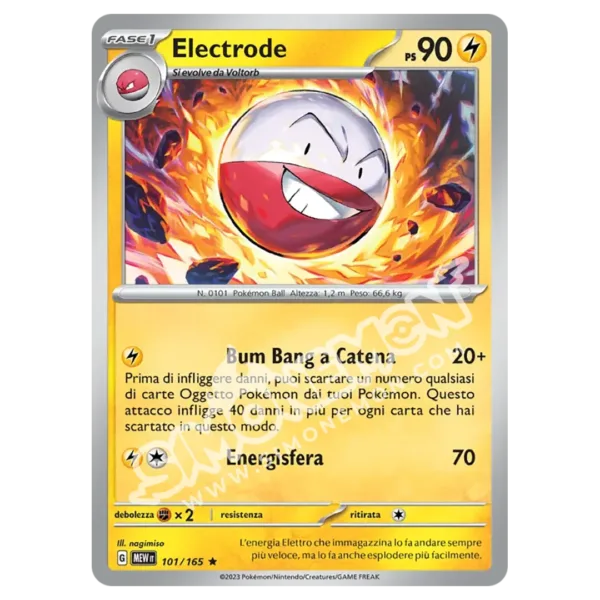 Electrode 101/165 151 (IT)