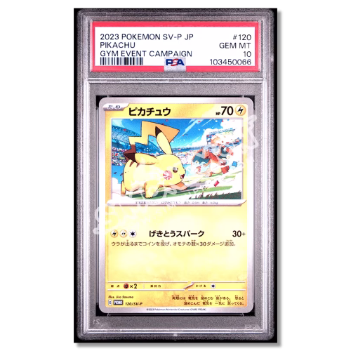 Pikachu 120 Gym Event Campaign PSA 10 (JP)