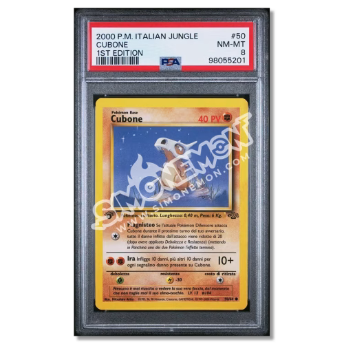 Cubone 50/64 Jungle PSA 8 (IT)