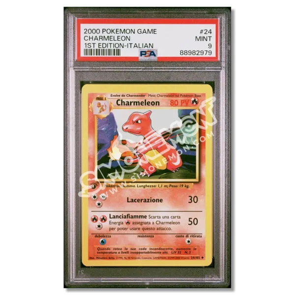 Charmeleon 24/102 Set Base 1st Edition PSA 9 (IT)