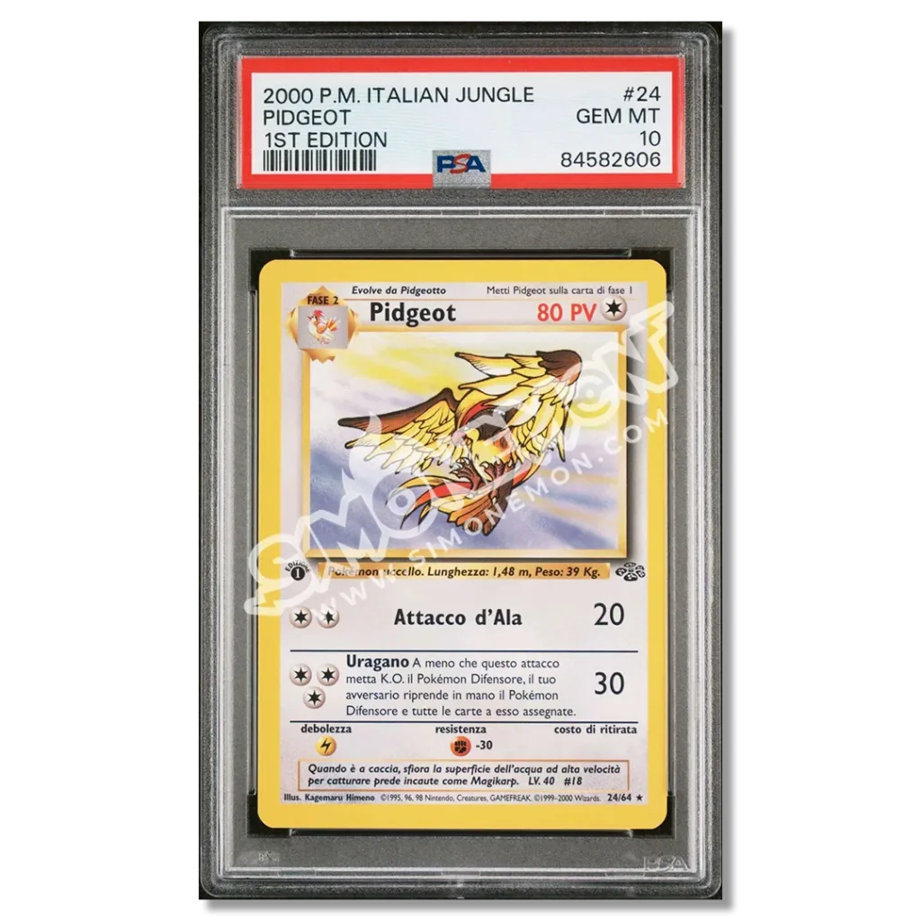 Pidgeot 24/64 Jungle 1st Edition PSA 10 (IT)