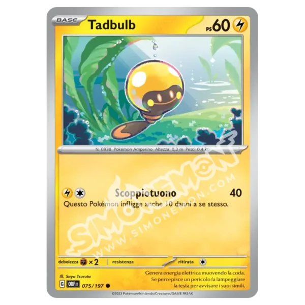 Tadbulb 075/197 Ossidiana Infuocata  (IT)