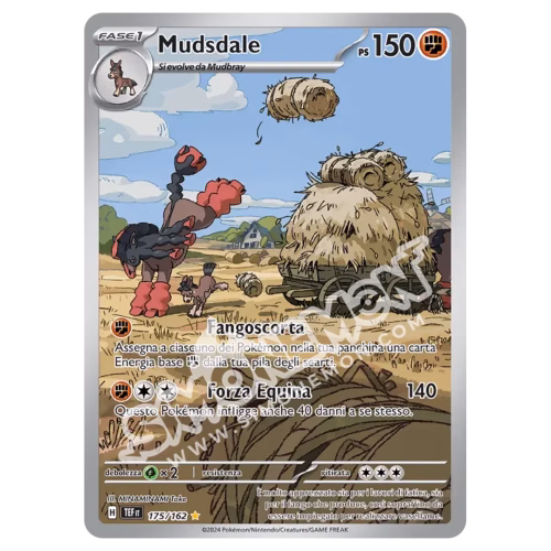 Mudsdale 175/162 Cronoforze (IT)