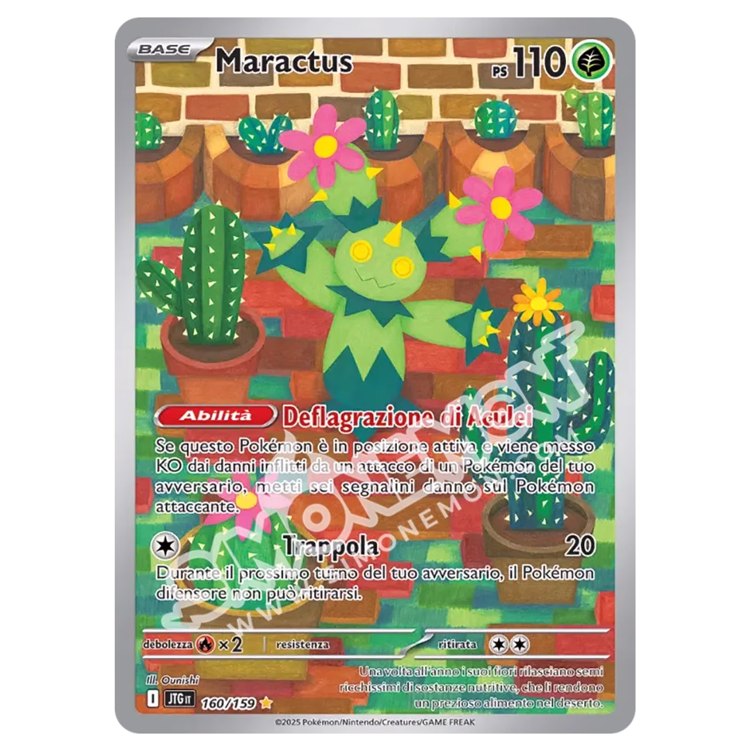 Maractus 160/159 Avventure Insieme (IT)