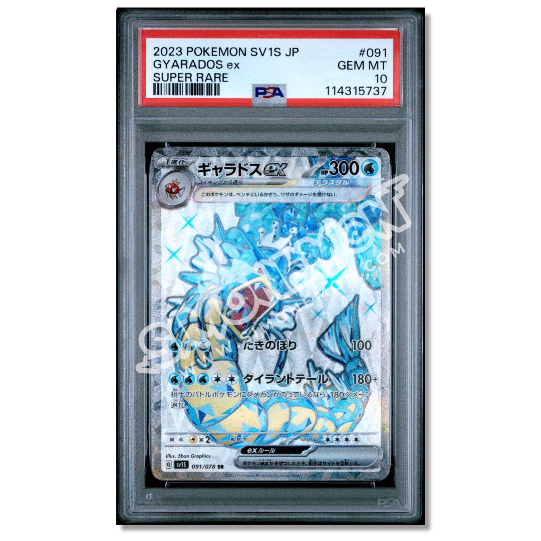 Gyarados EX - Super Rare 091 PSA 10 (JP)