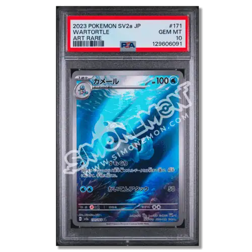 Carta Pokémon Wartortle PSA 10, rara, in confezione di plastica.